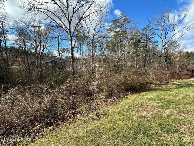 63 Whitetail Run, Crossville, TN 38555