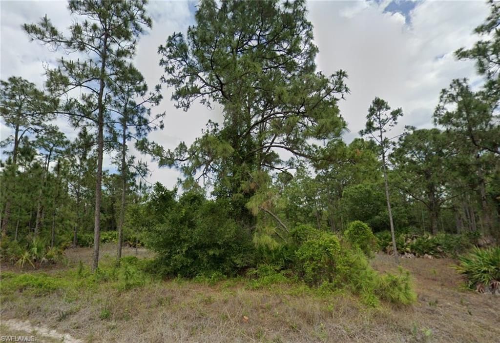 806 Canton AVE, LEHIGH ACRES, FL 33972 — exterior