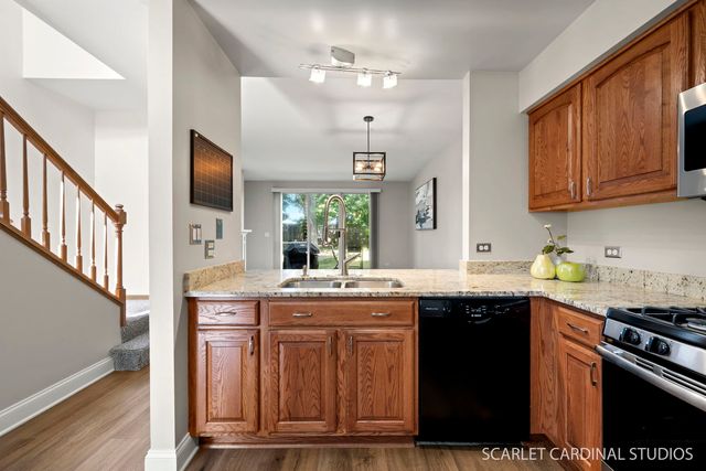 391 Hunterdon Court 4391A, Schaumburg, IL 60194