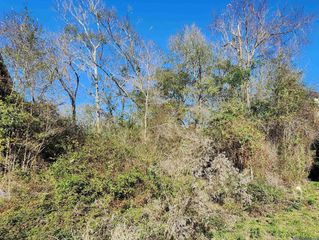 10321 Amite River Rd, Baton Rouge, LA 70817