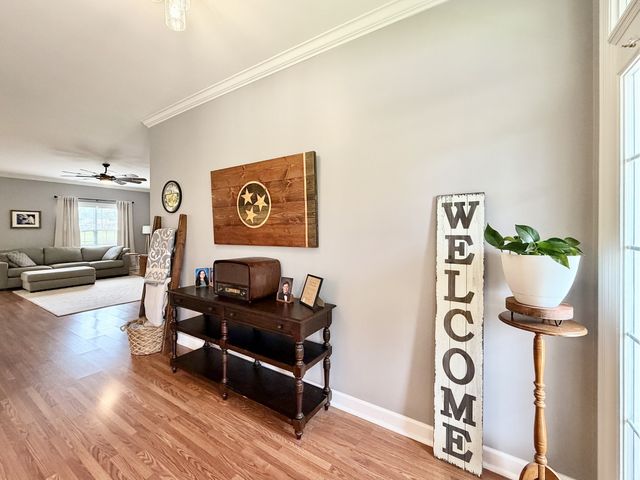 711 Milky Way Dr, Pulaski, TN 38478