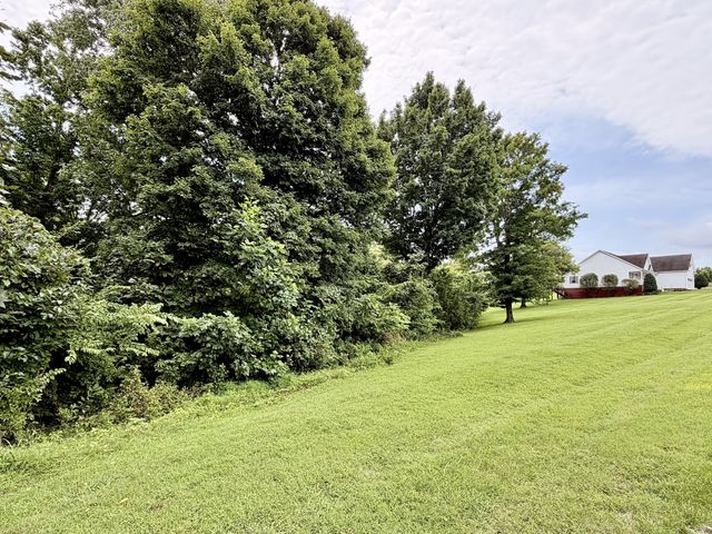 711 Milky Way Dr, Pulaski, TN 38478