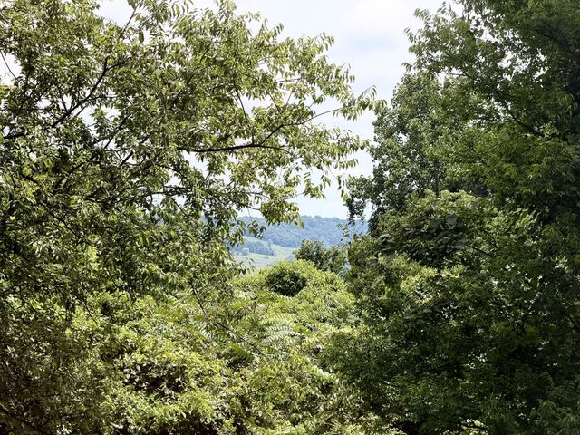 711 Milky Way Dr, Pulaski, TN 38478