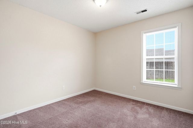 706 Nut Bush Court, Wilmington, NC 28411