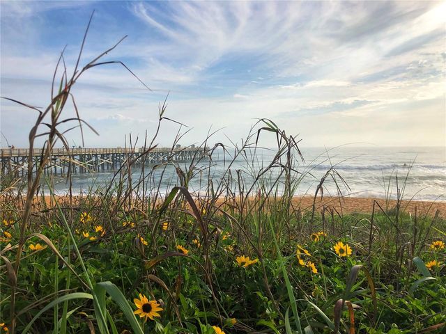50 OCEAN PALM VILLA S, Flagler Beach, FL 32136