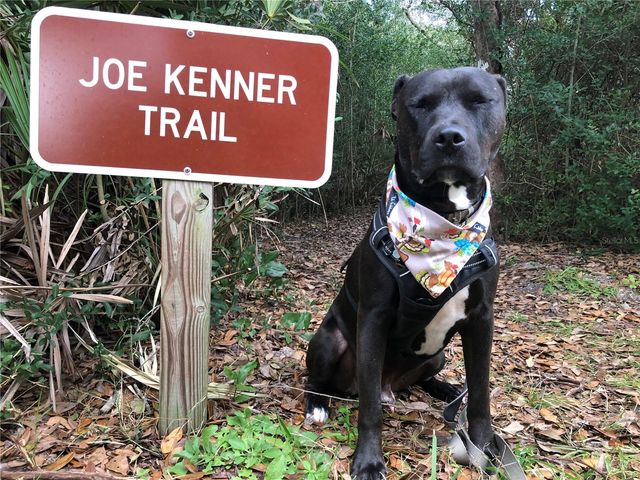 50 OCEAN PALM VILLA S, Flagler Beach, FL 32136