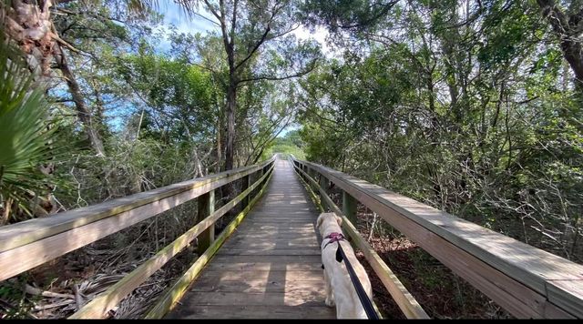 50 OCEAN PALM VILLA S, Flagler Beach, FL 32136