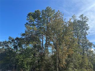 4293 LANDOVER BOULEVARD, Spring Hill, FL 34609