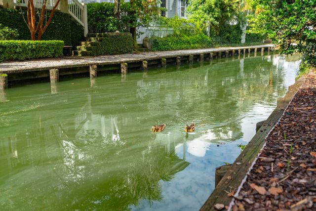 31 John Galt Way, Mount Pleasant, SC 29464