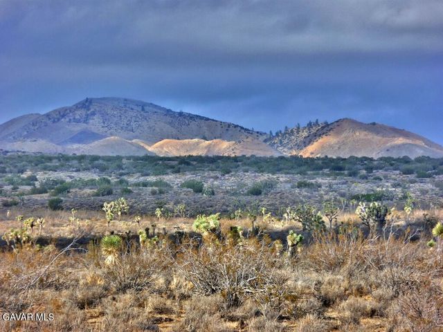 Vac Vic 145th St E, Rosamond, CA 93560