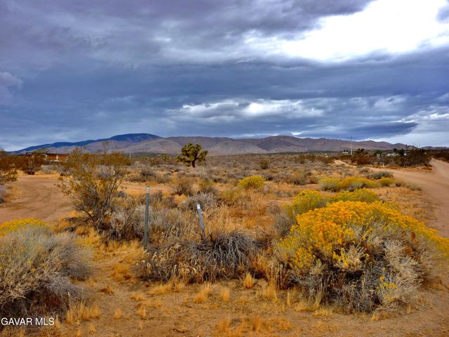 Vac Vic 145th St E, Rosamond, CA 93560