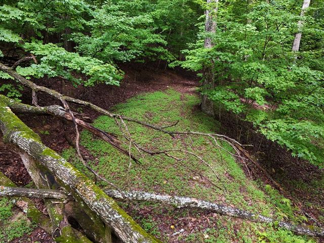 Lot 71 Chicory Drive W, Blairsville, GA 30512