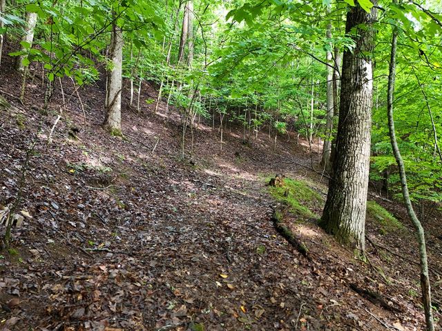 Lot 71 Chicory Drive W, Blairsville, GA 30512