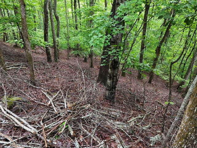 Lot 71 Chicory Drive W, Blairsville, GA 30512