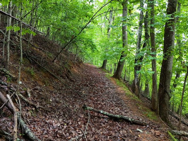 Lot 71 Chicory Drive W, Blairsville, GA 30512