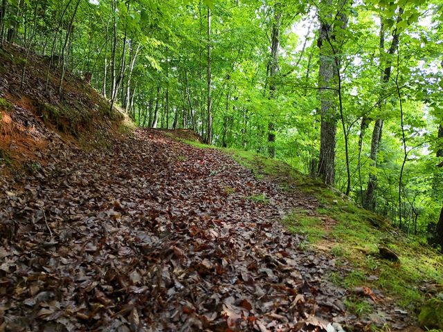 Lot 71 Chicory Drive W, Blairsville, GA 30512