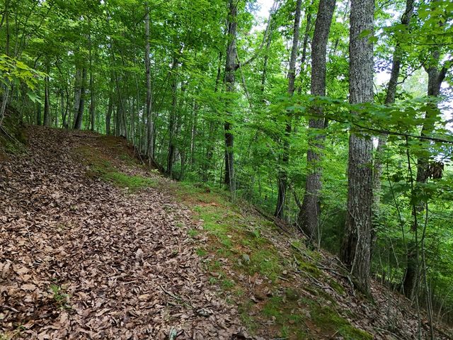 Lot 71 Chicory Drive W, Blairsville, GA 30512