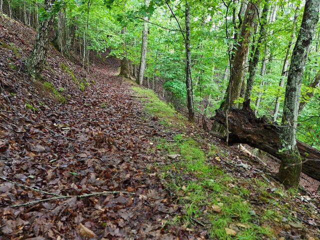 Lot 71 Chicory Drive W, Blairsville, GA 30512
