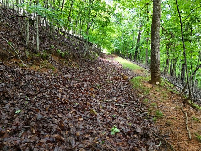 Lot 71 Chicory Drive W, Blairsville, GA 30512