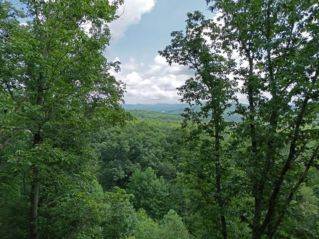 Lot 71 Chicory Drive W, Blairsville, GA 30512