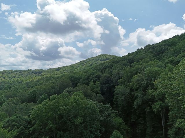 Lot 71 Chicory Drive W, Blairsville, GA 30512