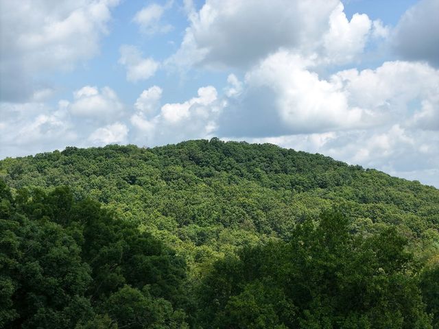 Lot 71 Chicory Drive W, Blairsville, GA 30512