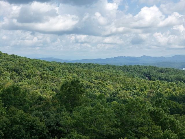 Lot 71 Chicory Drive W, Blairsville, GA 30512