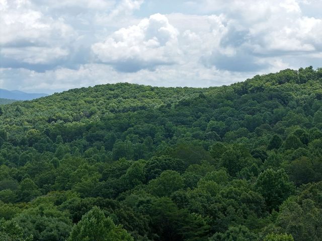 Lot 71 Chicory Drive W, Blairsville, GA 30512