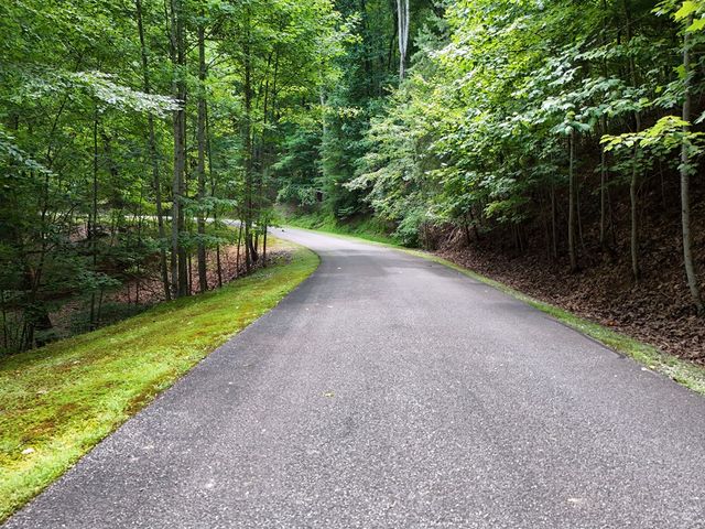 Lot 71 Chicory Drive W, Blairsville, GA 30512