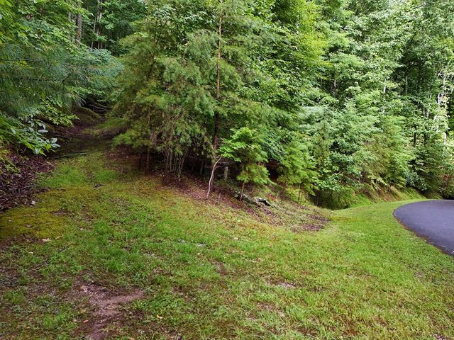 Lot 71 Chicory Drive W, Blairsville, GA 30512