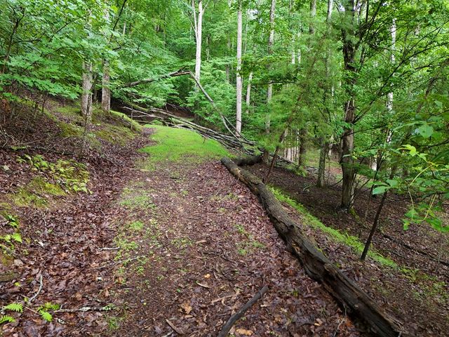 Lot 71 Chicory Drive W, Blairsville, GA 30512