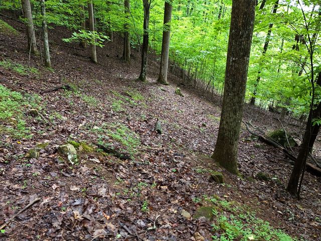 Lot 71 Chicory Drive W, Blairsville, GA 30512