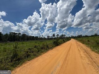 0 Peeples Farm Road, Sylvania, GA 30467