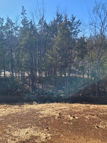 338 Mammoth Trace, Smyrna, TN 37167