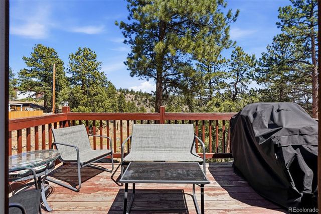 280 Bunny Road, Bailey, CO 80421