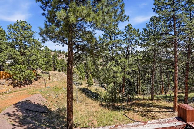 280 Bunny Road, Bailey, CO 80421