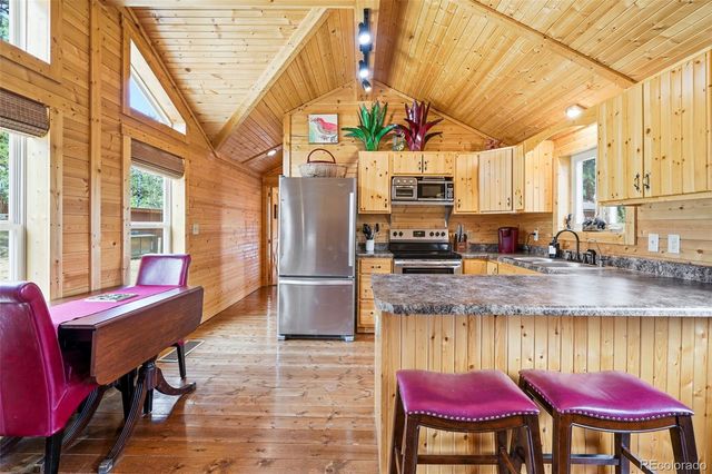 280 Bunny Road, Bailey, CO 80421