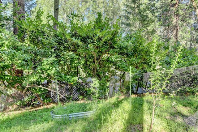 10901 Footwall Dr, Grass Valley, CA 95945