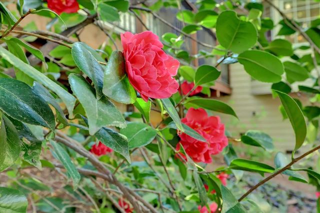 10901 Footwall Dr, Grass Valley, CA 95945