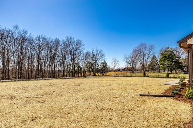 1260 Mount Olive Rd, Westmoreland, TN 37186