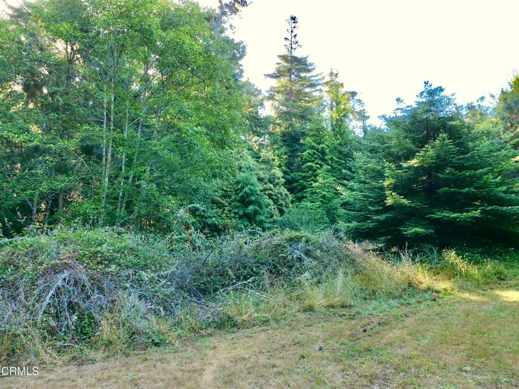 Image 2 of property listing at 19130 Dorffi Road, Fort Bragg, CA 95437