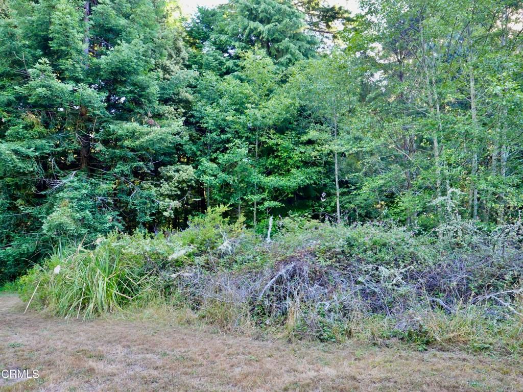 Image 3 of property listing at 19130 Dorffi Road, Fort Bragg, CA 95437
