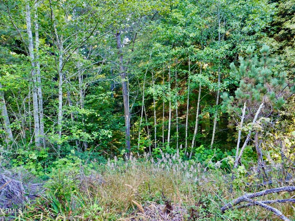 Image 4 of property listing at 19130 Dorffi Road, Fort Bragg, CA 95437