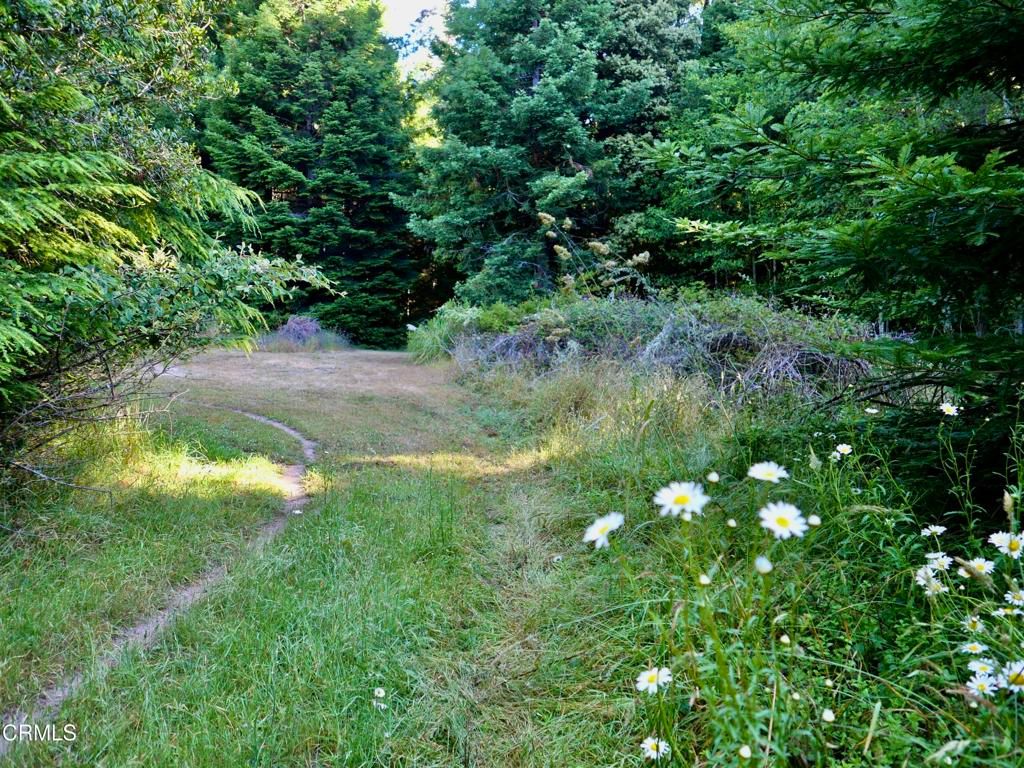 Image 5 of property listing at 19130 Dorffi Road, Fort Bragg, CA 95437