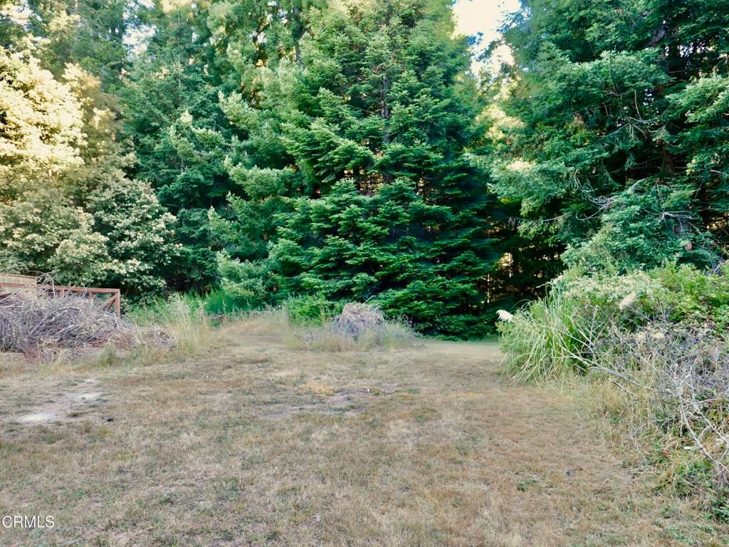 Image 6 of property listing at 19130 Dorffi Road, Fort Bragg, CA 95437