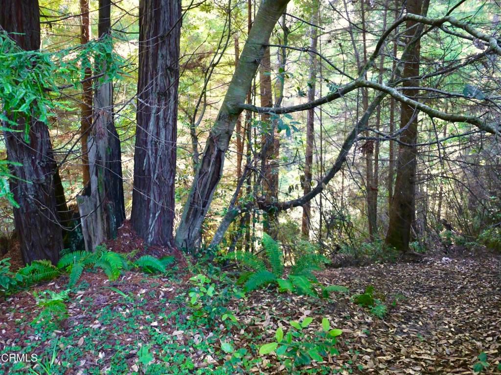 Image 7 of property listing at 19130 Dorffi Road, Fort Bragg, CA 95437