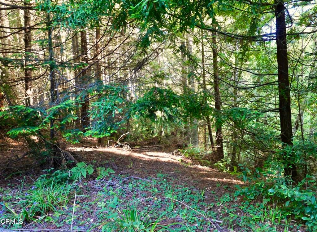 Image 8 of property listing at 19130 Dorffi Road, Fort Bragg, CA 95437