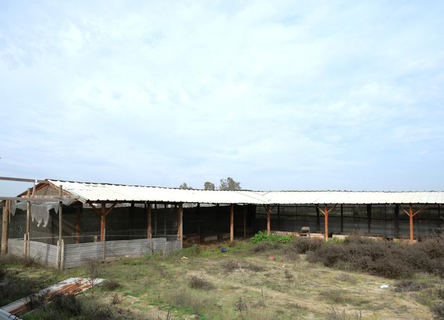 10974 Ave 56, Earlimart, CA 93219