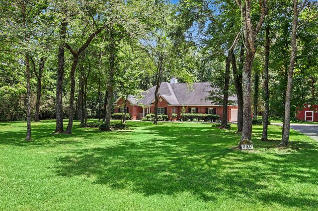 8911 Diamante Drive, Magnolia, TX 77354
