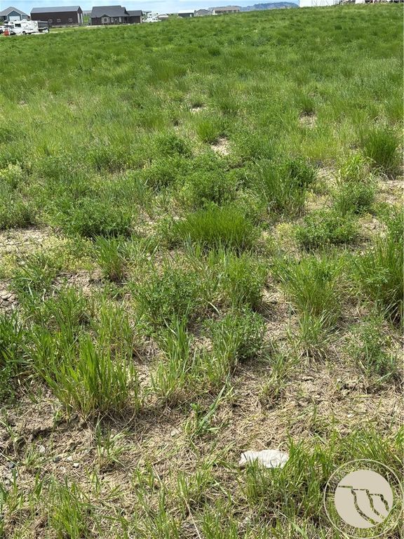 3863 Glenn Edward Road, Shepherd, MT 59067 photo 3